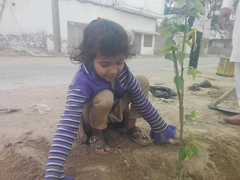 Green Seekers Activity